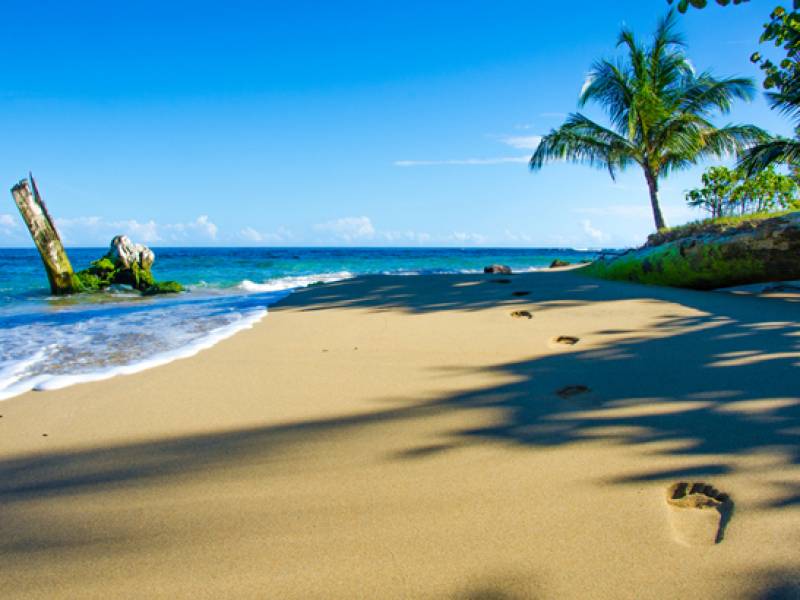 A Guide to Costa Rica's Best Beaches | On The Go Tours