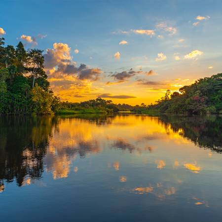 Amazon, Incas & Titicaca Main Image  Amazon, Peru  On The Go Tours