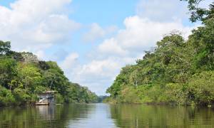 Amazon Jungle in Peru- Peru tours- On The Go Tours