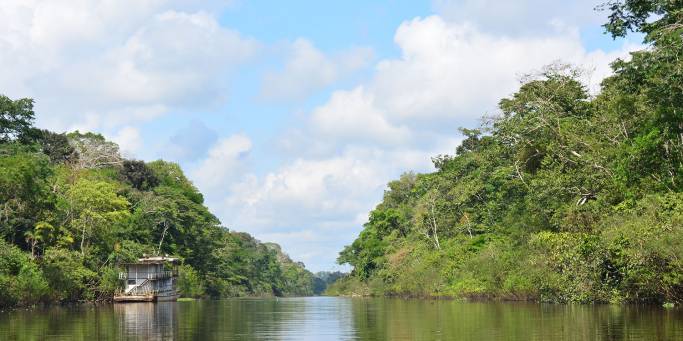 Amazon Jungle | Peru | South America 