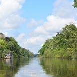 Amazon Jungle | Peru | South America 