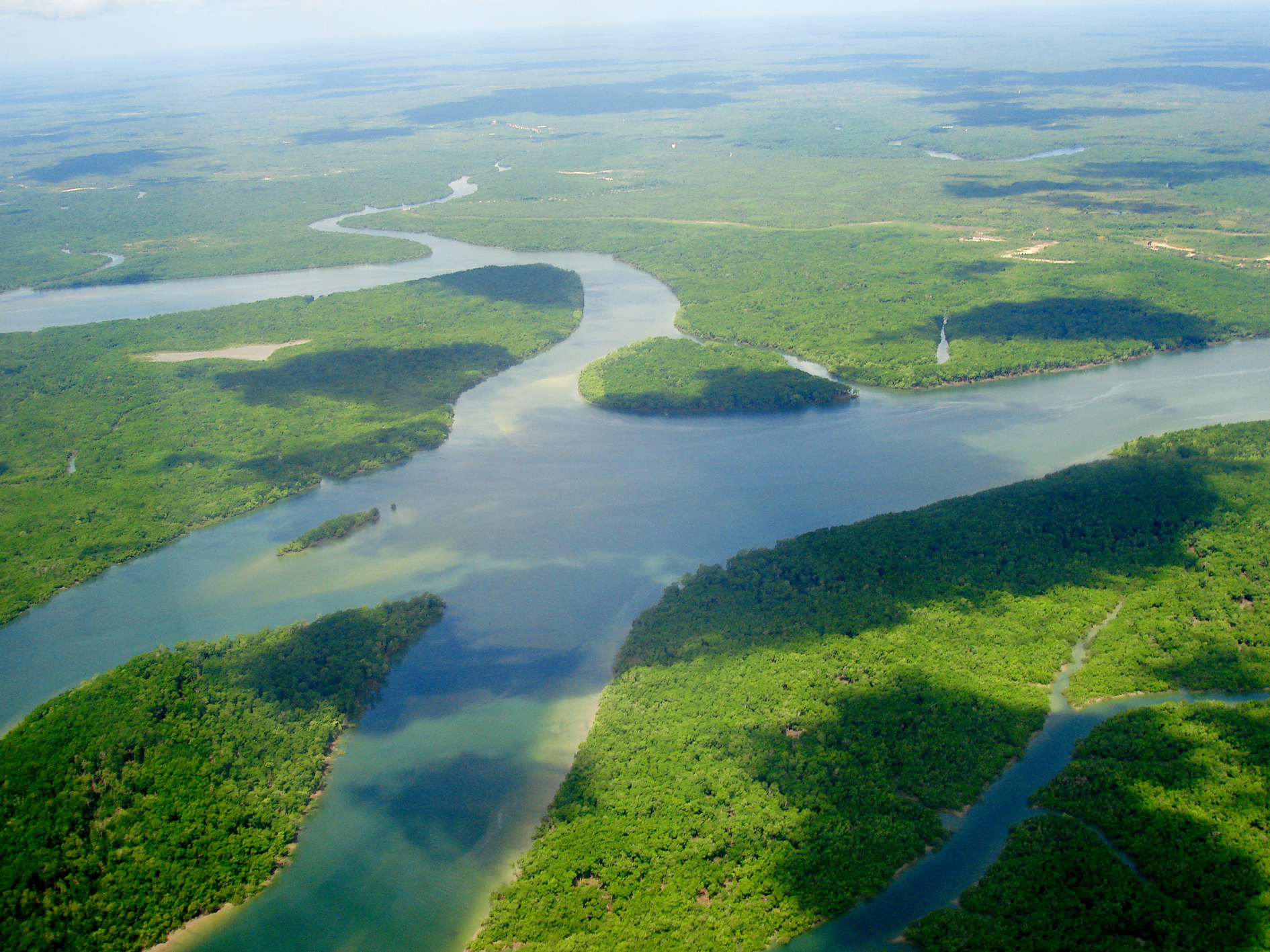 Amazon Rainforest