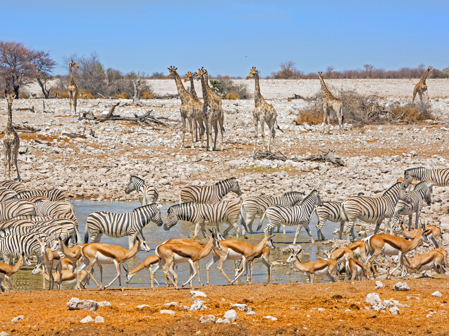 Namibia, Botswana and Falls - 14 days