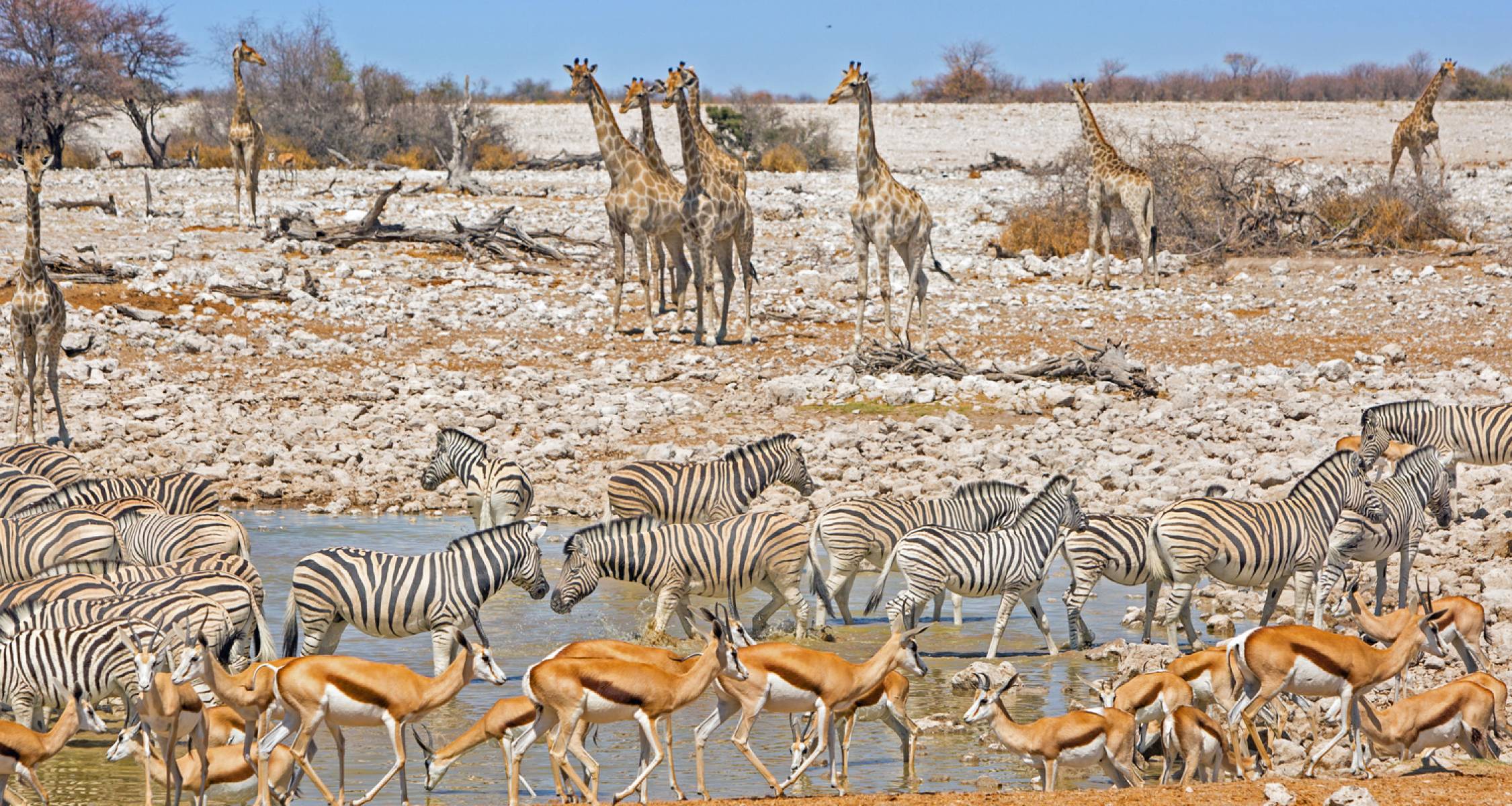 Namibia, Botswana and Falls - 14 days