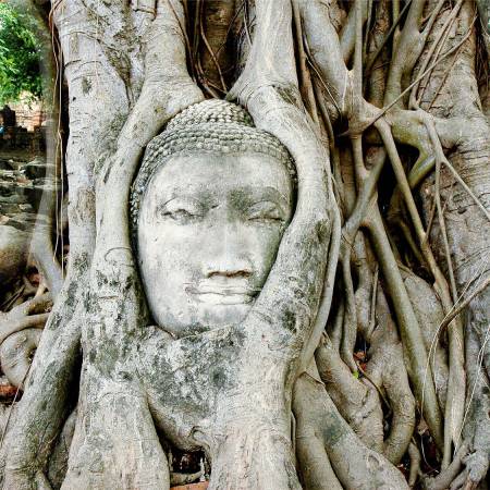 Ayutthaya - Wat Mahatad