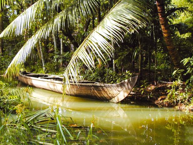 Wooden boat drifting along the river in Kumarakom