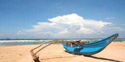 Sri Lanka Tours & Holidays 2022/2023 | On The Go Tours