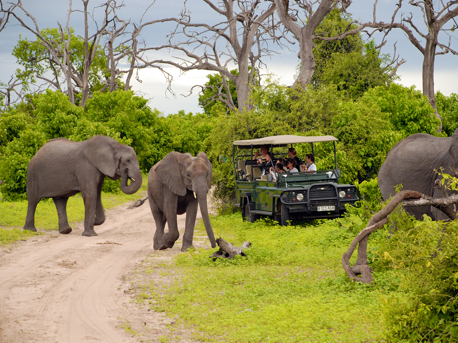 Hwange, Chobe & Falls - 10 days