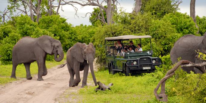 Botswana Lodge Explorer 2019 Main Image - Chobe National Park - Africa Tours