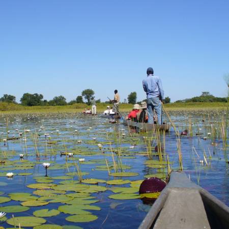 Botswana-Lodge-Explorer-Itinerary-Main-Lodge-Safaris-Africa