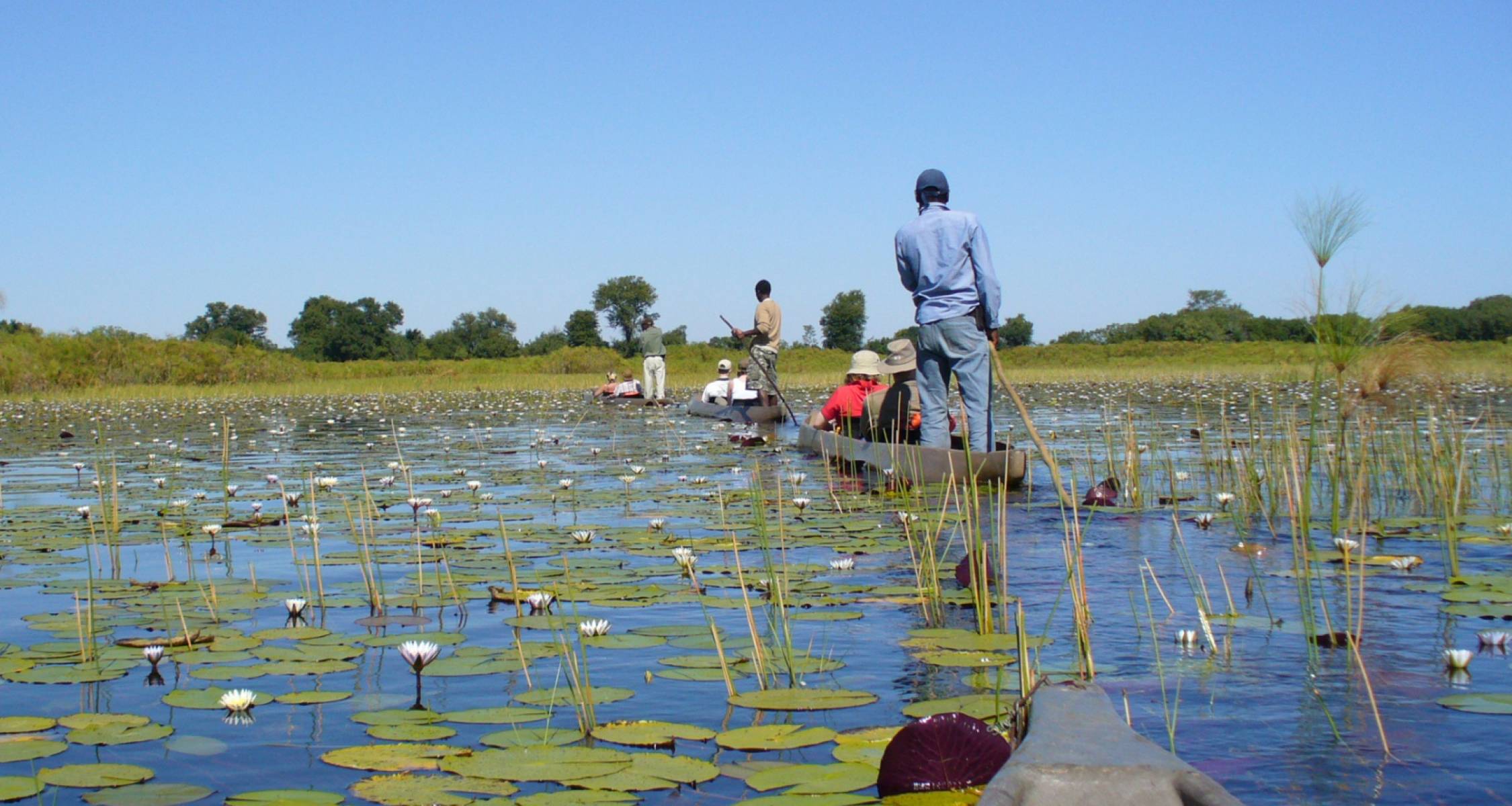 Best of Botswana & Victoria Falls - 12 days