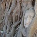 Ancient temples against a bright blue sky in Ayutthaya