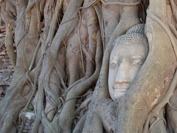 Ancient temples against a bright blue sky in Ayutthaya