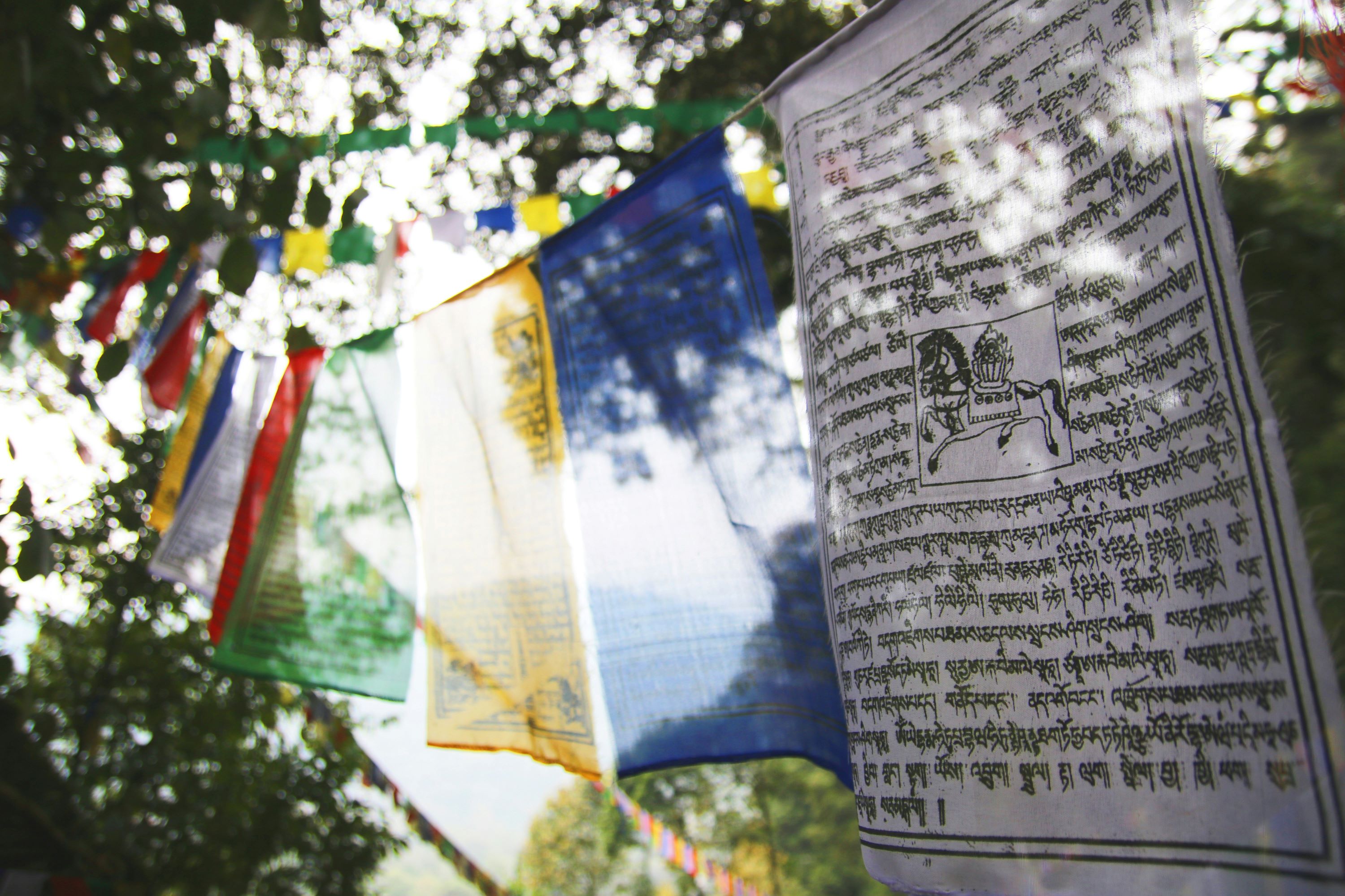 Buddhist prayer flags