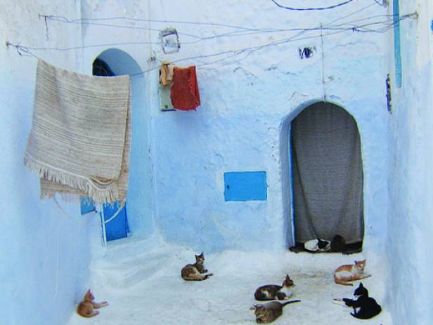 The blue painted houses of Chefchaouen's medina