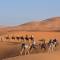 Desert Tours to Morocco in the wide expanse of the Sahara