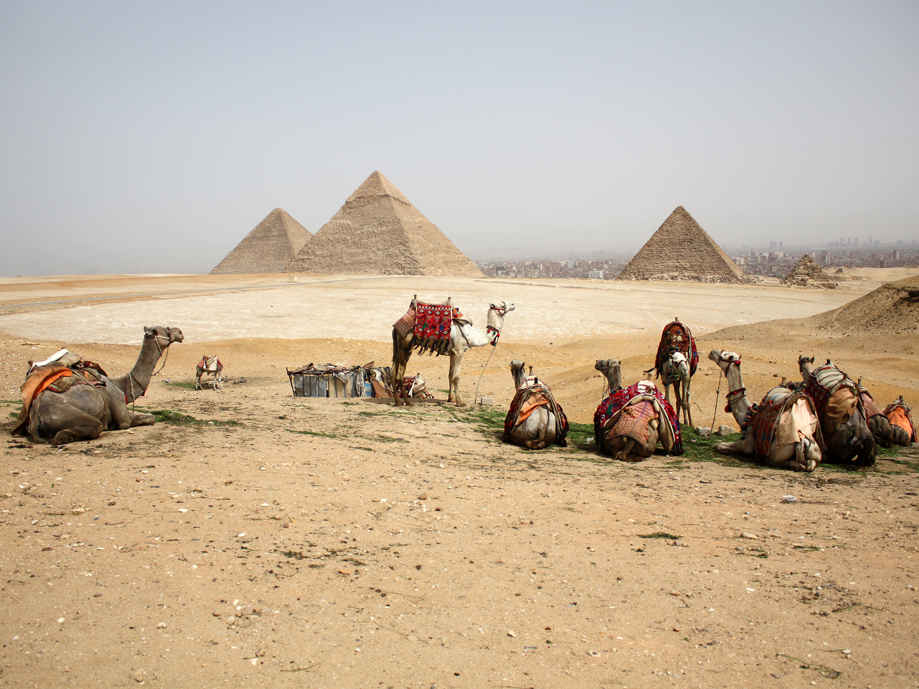 The Pyramids of Giza