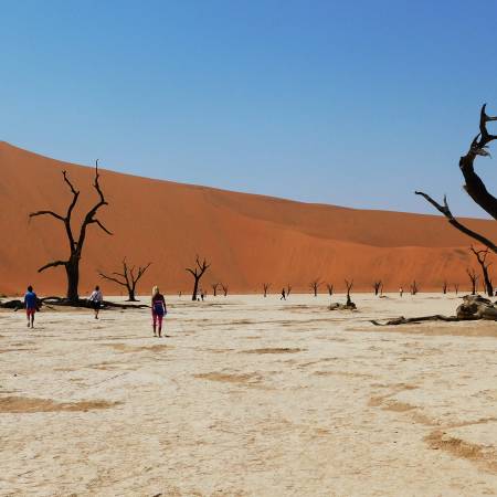 Cape, Delta & Falls Accommodated main image - Deadvlei in Namibia