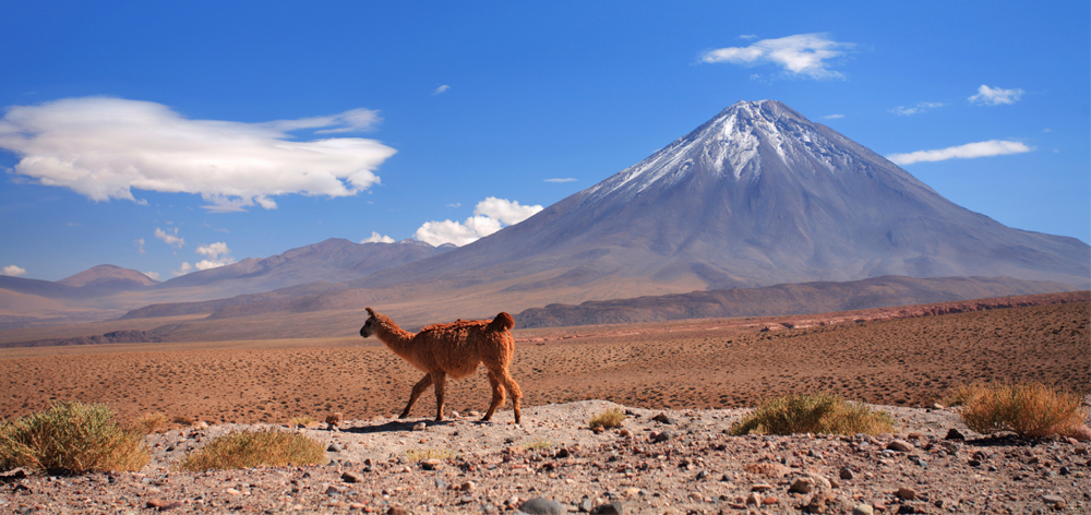 Atacama & the North - 10 Days