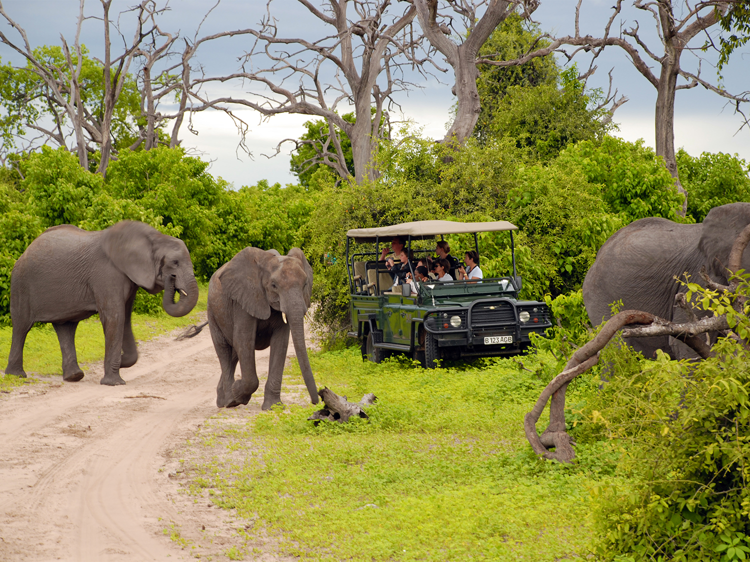 Chobe, Okavango & Etosha - 14 days