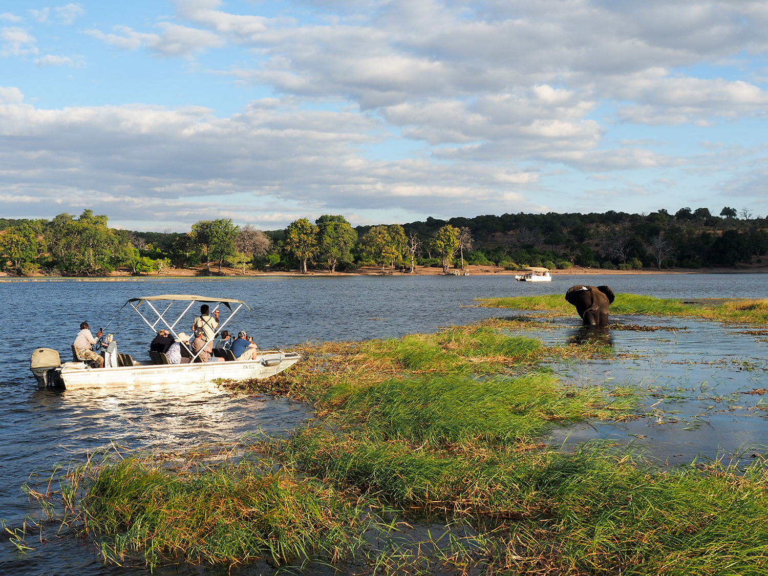 Delta, Chobe & Falls - 12 Days 