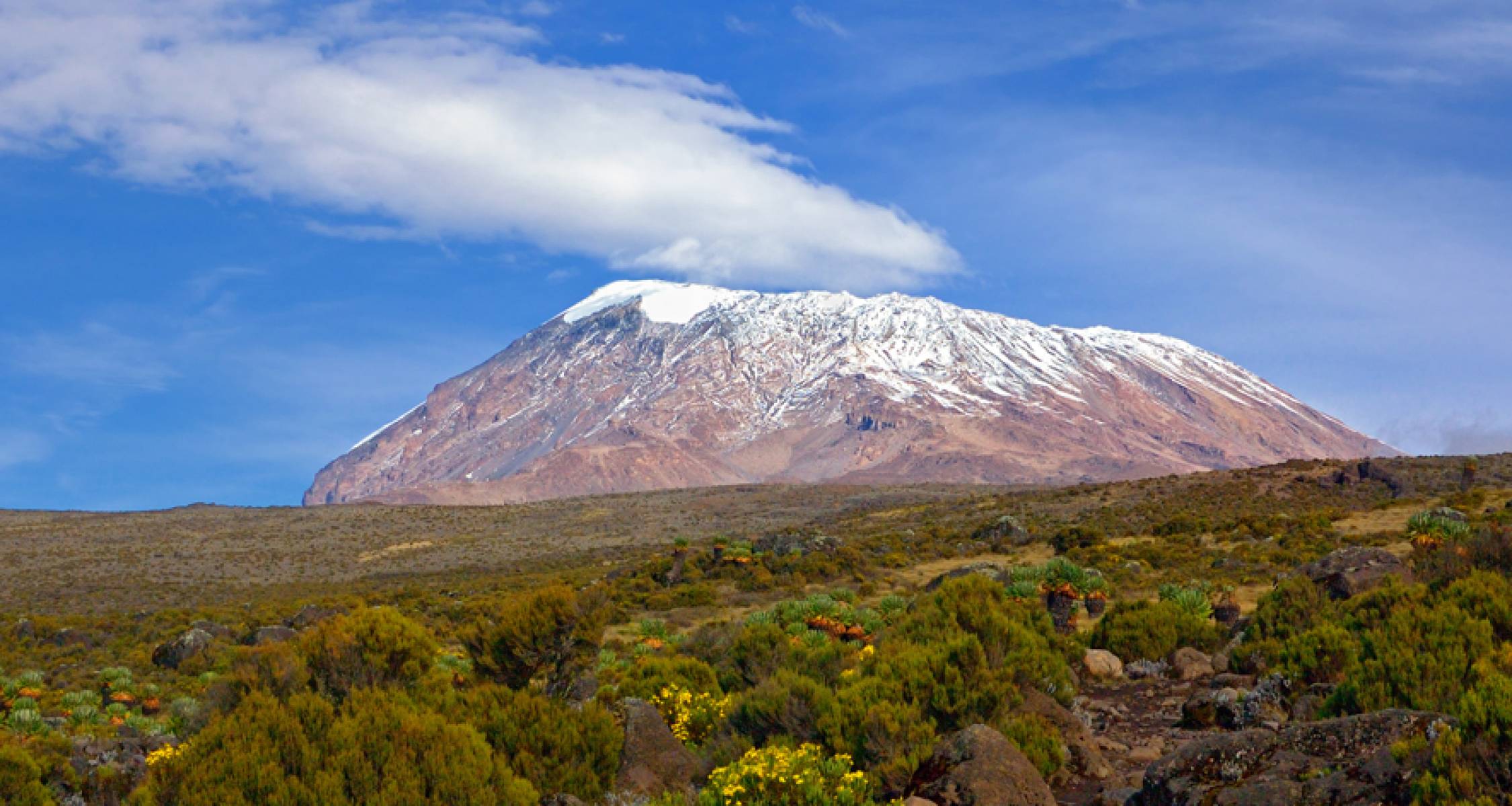 Mt Kilimanjaro Climb - 8 days