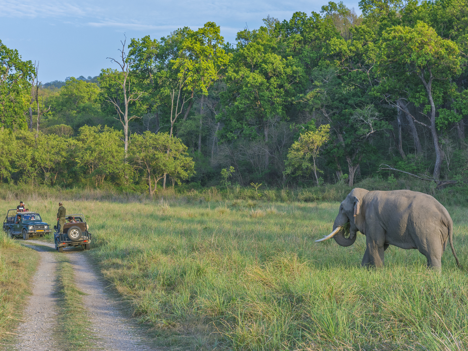 Corbett National Park - 4 days