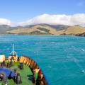 Wellington Oriental Bay - New Zealand - On The Go Tours