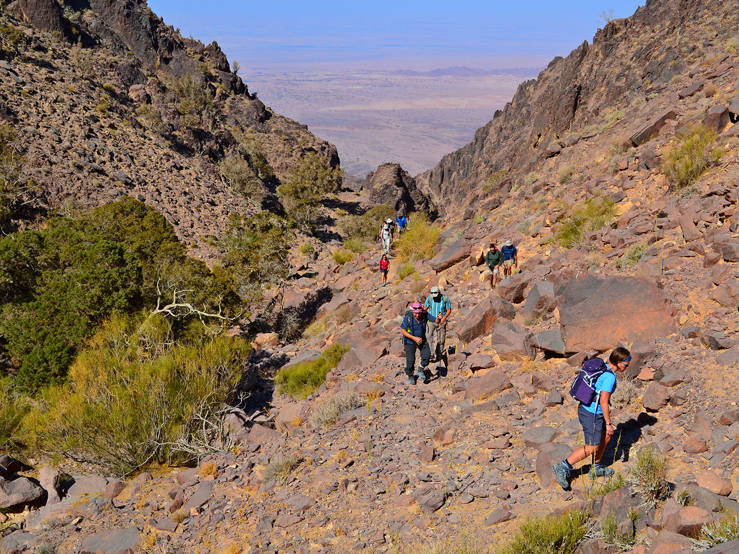 Dana to Petra Trek - 8 Days