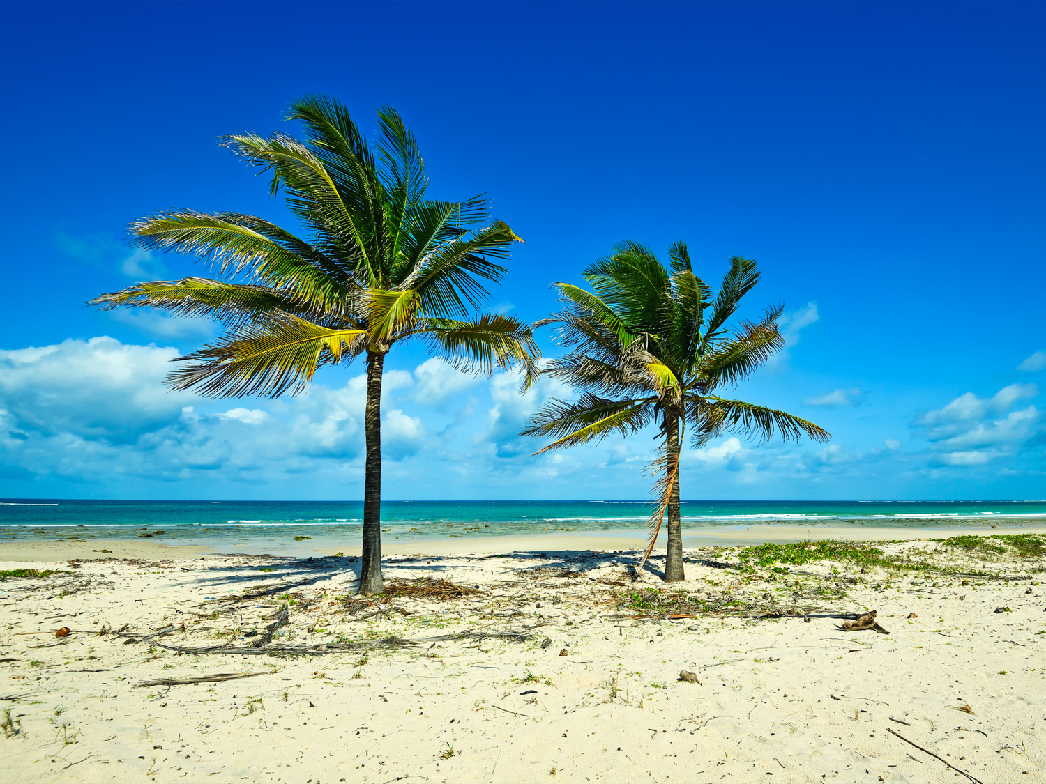 Beach in Kenya