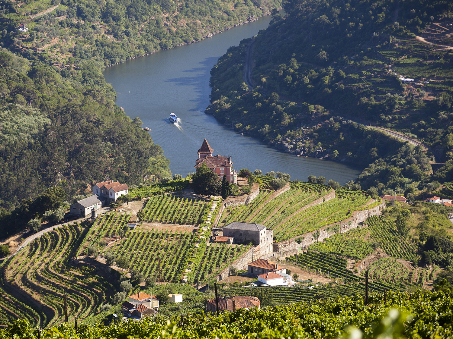 Douro Valley