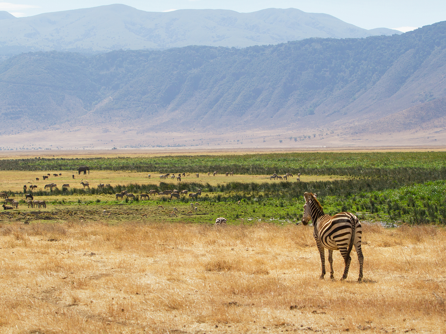 Zambia to Nairobi - 21 days