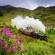 Glenfinnan Viaduct | Scotland | United Kingdom