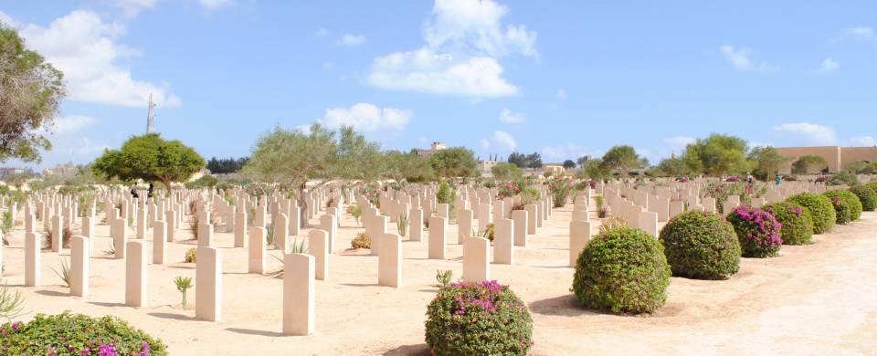 The cemetery in El Alamein fringed with low shrubs