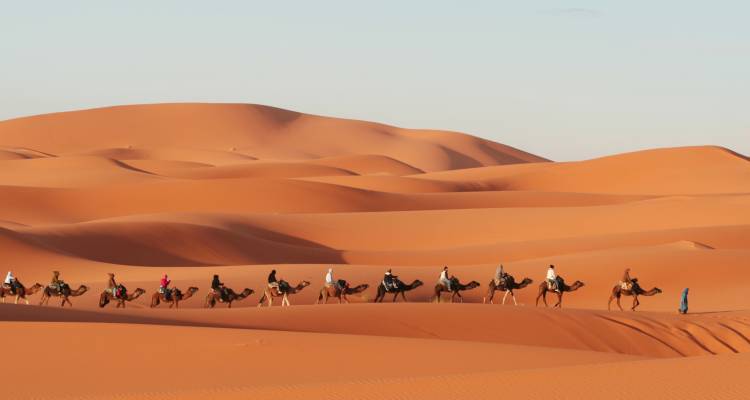 tourhub | On The Go Tours | Essential Morocco - 8 days 