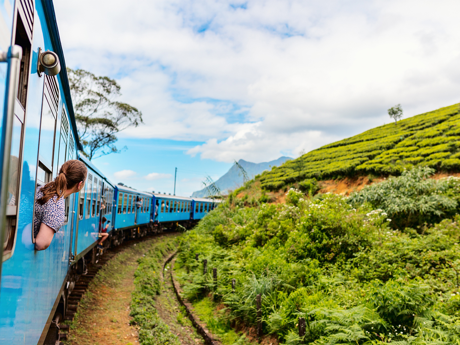 Essential Sri Lanka Explorer - 13 days