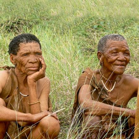 Falls to Namibia main image - San Bushmen