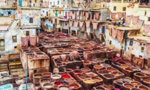 Fes tanneries - Morocco