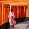 Tours to Japan which inlude a visit to Fushimi Inari Taisha in Kyoto