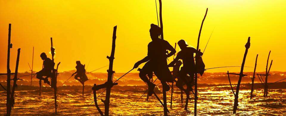 Fishermen on stilts in the setting sun in Galle