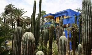 Garden Majorelle Marrakech - Morocco Tours - On The Go Tours