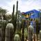 Majorelle Gardens in Marrakech | Morocco