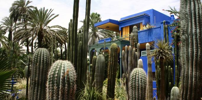 Majorelle Gardens in Marrakech | Morocco