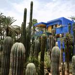 Majorelle Gardens in Marrakech | Morocco