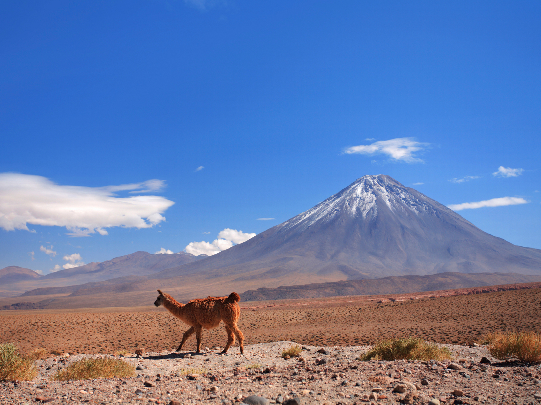 Day 8 - San Pedro de Atacama