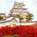 Himeji Castle, a World Heritage site, surrounded by cherry blossoms