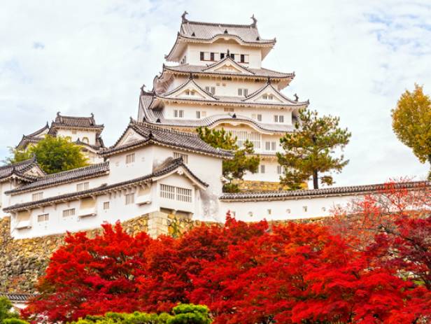 Himeji Castle, a World Heritage site, surrounded by cherry blossoms