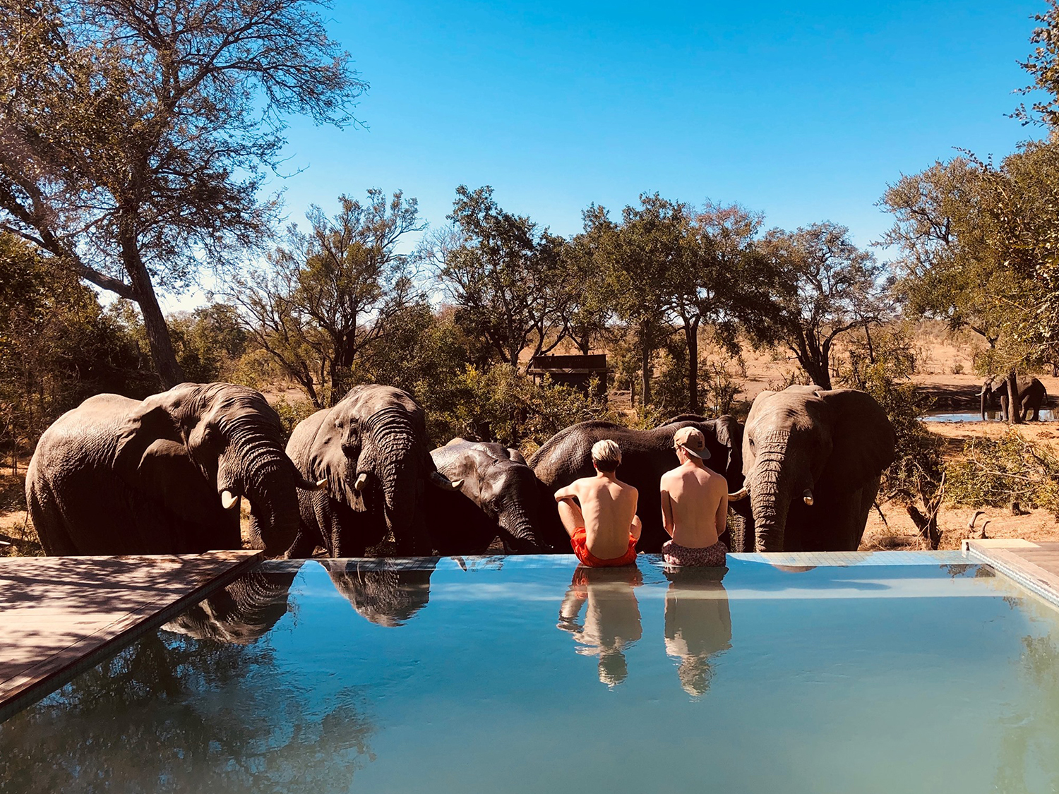 Kruger Safari & Victoria Falls - 8 days