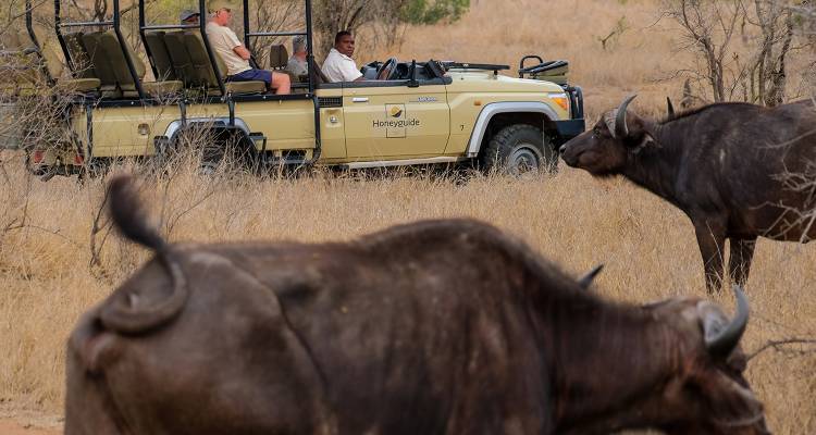 tourhub | On The Go Tours | Kruger Safari & Victoria Falls - 8 days 