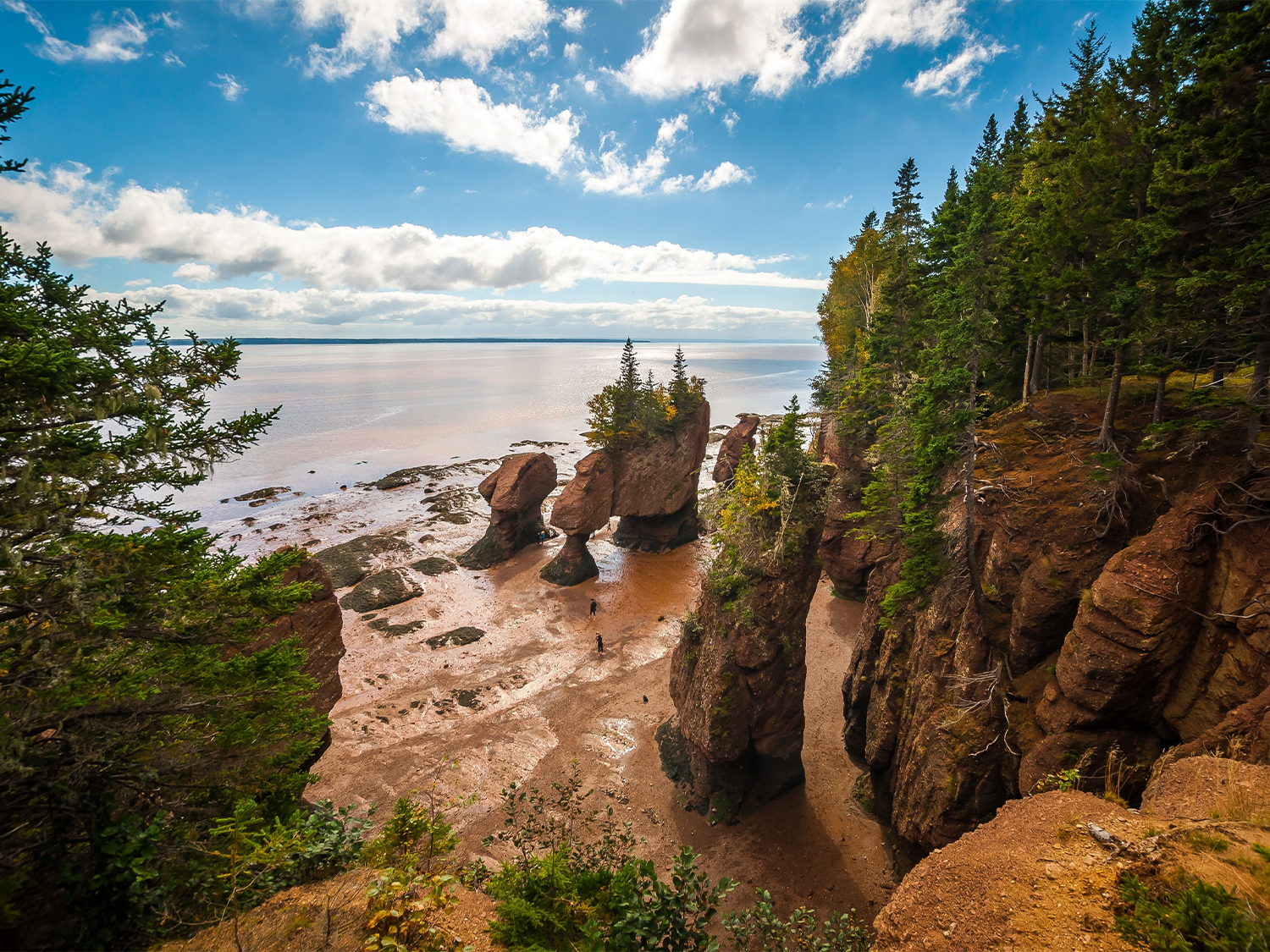 Best of the Bay of Fundy - 7 days